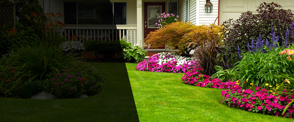 Tupelo Landscapers