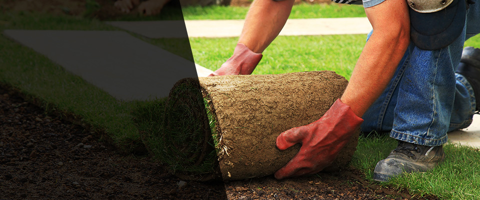 Tupelo Landscapers